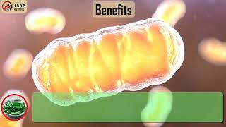 Slim Style One More International Product Brief Description