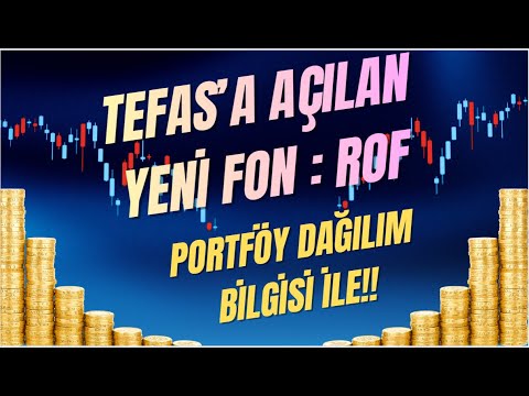 TEFAS'A AÇILAN YENİ FON : ROF PORTFÖY DAĞILIMI İLE!