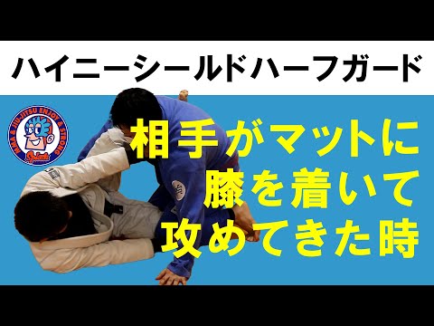 ハイニーシールドハーフガード　マットに膝をつけてる相手に対して使いやすい