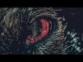 Throw The Fight - Wolves in the Dark (OFFICIAL VIDEO)