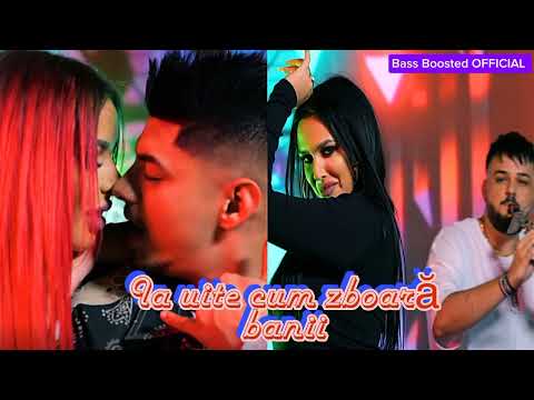 Reea & Tina & ADRIAN NOROCEL | zboară bani [ Bass Boosted OFFICIAL ]