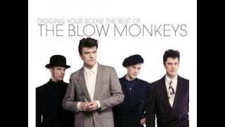 The Blow Monkeys -- It Doesn't Have To Be This Way