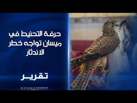 فيديو | حرفة التحنيط في ميسان تواجه خطر الاندثار.. شاب يحول منزله إلى مركز لتحنيط حيوانات مهددة بالانقراض