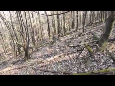 Agancsozás 2015.03.21 1,64kg