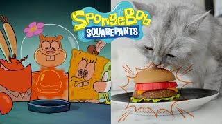 【SpongeBob】#hamburger #sandy #mrkrabs