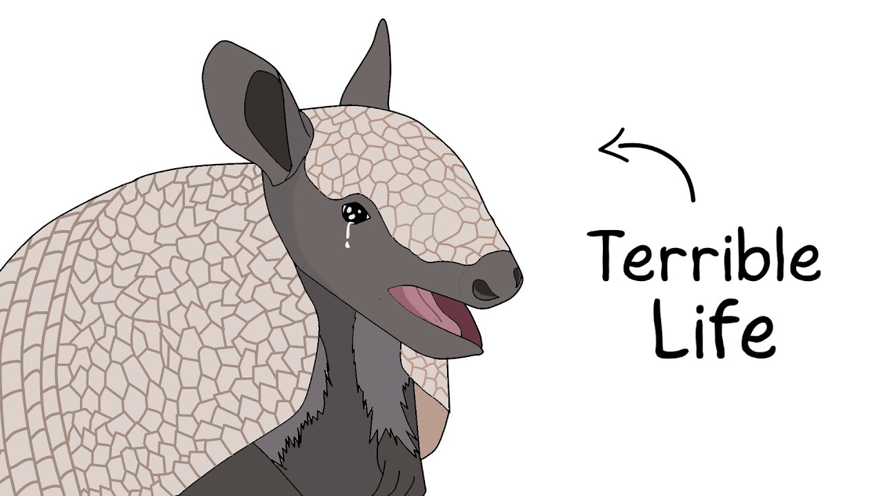 Why It Sucks to Be Born as an Armadillo