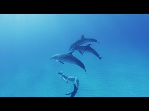 12 Stunning Videos of Life Beneath the Waves