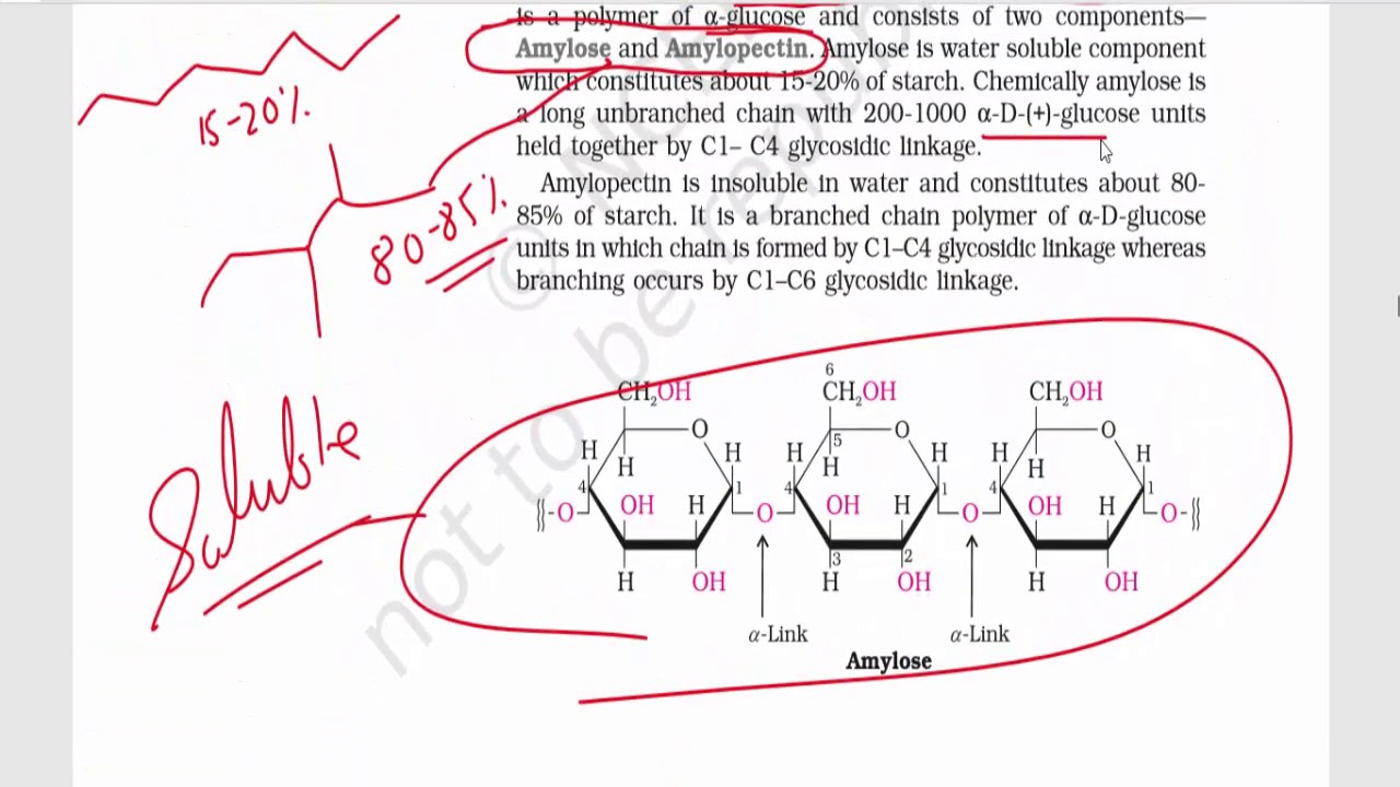 Biomolecules (Part 3) : Disaccharides & Polysaccharides - Sucrose, Maltose, Lactose, Starch