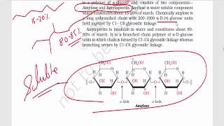 Biomolecules (Part 3) : Disaccharides & Polysaccharides - Sucrose, Maltose, Lactose, Starch