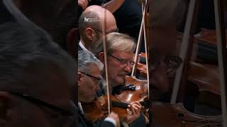 Download lagu The »fate« symphony – Roderick Cox conducts Tchaikovsky 5 #orchestra #classicalmusic mp3