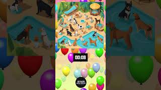 Download lagu Find Cepin at the Pool 1 - Easy New Challenge! #dog #puzzle #games mp3