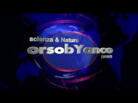 Artrite traumatica dellarticolazione temporomandibolare Dolore alla schiena appena sopra la vita durante la guida