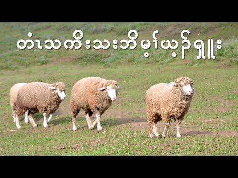 Hymn, What a Friend We Have in Jesus in Karen by Eh Wah & Eh Ler Tha