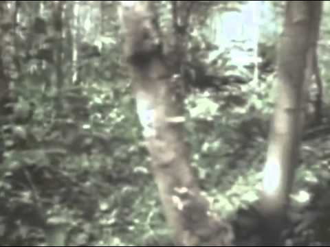 WWll in Colour Advancing Toward the Oder River