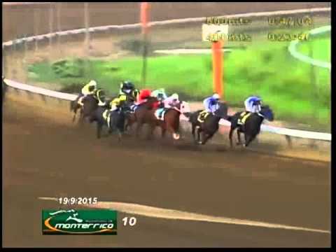 LOLO FOREVER – CLÁSICO JUAN MAGOT ROSELLÓ (L) 2015 – 1600 m