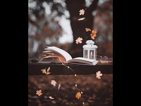 REFLEXÃO SOBRE A BONDADE DE DEUS