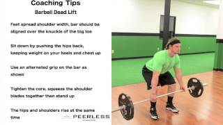 261. Barbell Dead Lift