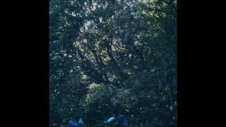 Benoît Pioulard - 7"EPs (2005​-​2016) (Full Album)