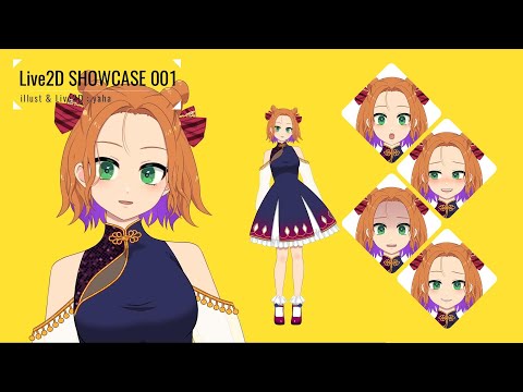 VtuverモデルのLive2Dモデルを作成します イメージ1