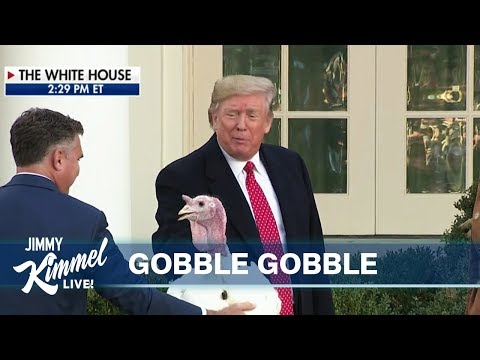 download lagu mp3 mp4 Oprah Turkey Burgers Donald Trump, download lagu Oprah Turkey Burgers Donald Trump gratis, unduh video klip Oprah Turkey Burgers Donald Trump