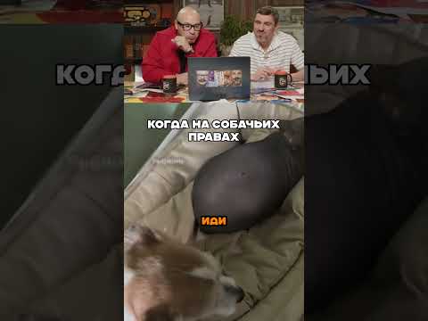 Наглые квартиранты
