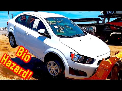 I won a 2015 Biohazard Chevy Sonic from IAA for $2500 w No Key!! Run and Drive??