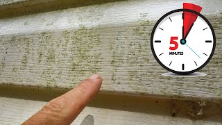 Cleaning House Siding Mold and Algae in Five Minutes