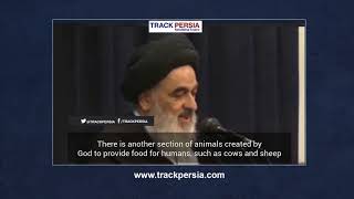 Iranian regime cleric says women are animals