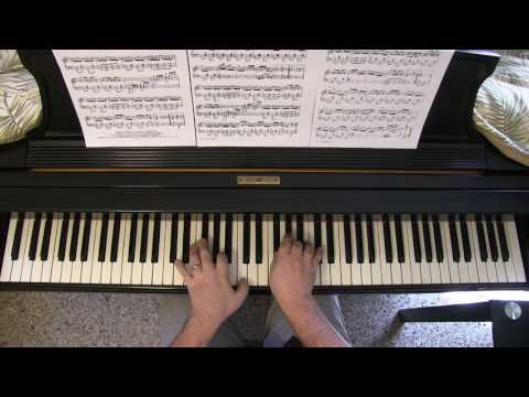 BLACK & WHITE RAG by George Botsford