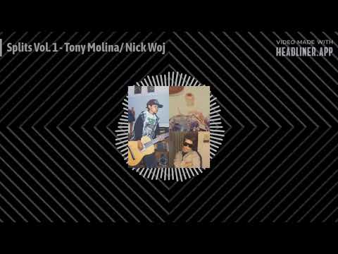 Thumbnail for Turned Out A Punk: Splits Vol. 1 - Tony Molina/ Nick Woj by Tony Molina