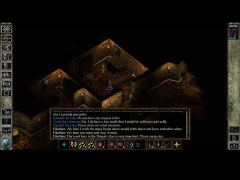 Solo HoF Insane Dragon Disciple Semi blind - Icewind Dale EE - part 11 The high baptist