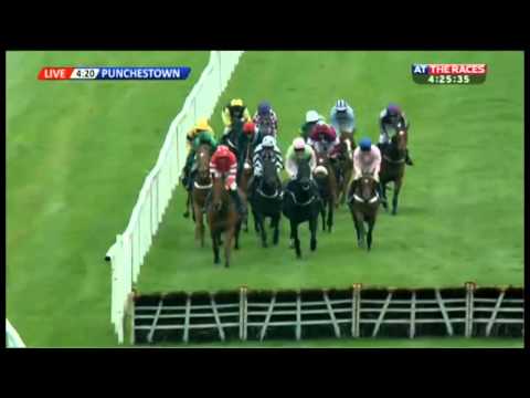 AES Champion Four Year Old Hurdle 2014