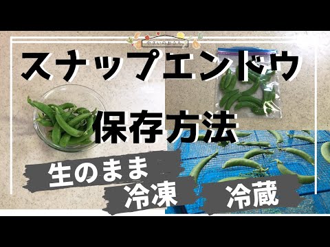 スナップエンドウの冷凍:正しい方法 ライフスタイル