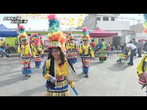 Son EL PAYASO  |  Danza Virgen de San Juan de los Lagos