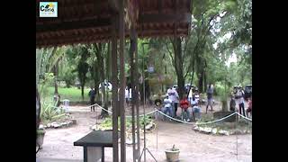 CURIÓ PRETO COM REPETIÇÃO - 1º LUGAR CHORÃO