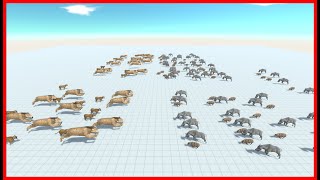 FELIDAE VS SUIDAE (50 VS 110) - ANIMAL REVOLT BATTLE SIMULATOR