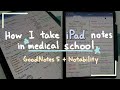 How I take iPad notes in medical school (GoodNotes5 & Notability)