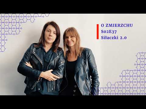 S02E37 Siłaczki 2.0 - O Zmierzchu