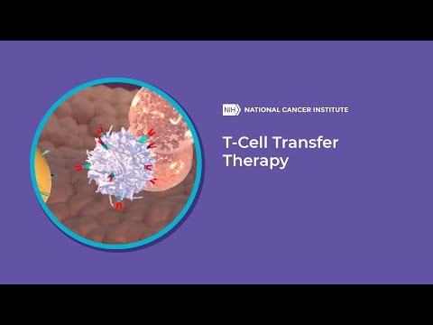 Definition of cellular adoptive immunotherapy - NCI Dictionary of Cancer Terms - NCI Definition of cellular adoptive immunotherapy - NCI Dictionary of Cancer Terms - NCI