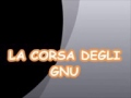 La Corsa Dei Gnu Morte Di Mufasa