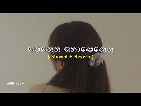 Penena Nopenena_පෙනෙන නොපෙනෙන | ( Slowed + Reverb )