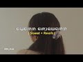 Penena Nopenena පෙනෙන නොපෙනෙන Slowed Reverb