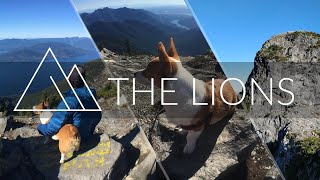 Download lagu Corgi hiked to the West Lion base from Lions Bay mp3