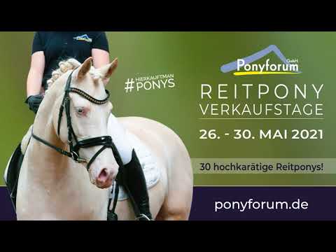 7j. Wallach v. Catch a smile