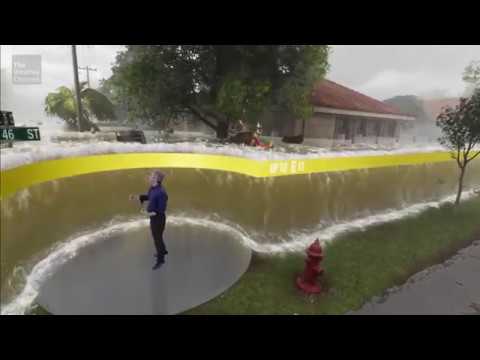 Hurricane Ian Is Expected To Bring More Than 10 Feet Of Storm Surge To Florida. The Weather Channel Demonstrates What That Looks Like