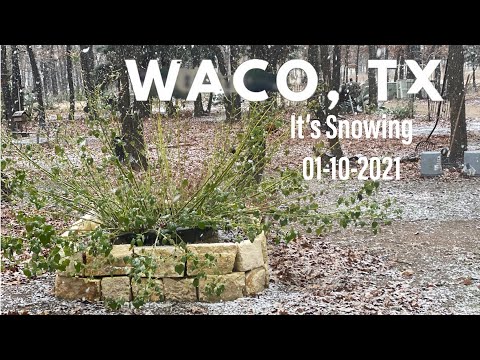 Waco Texas It’s Snowing| 01-10-2021