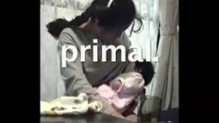 BiS 新生アイドル研究会   primal  【PV】