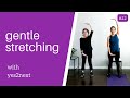Gentle Stretching For Seniors Beginner Exercisers