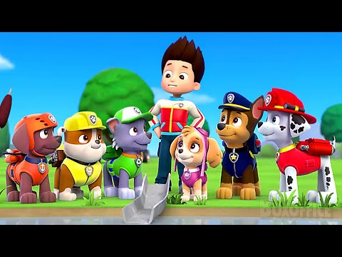 Les Meilleurs Moments de la Pat' Patrouille 🌀 4K