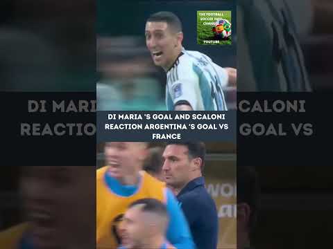 Qatar 2022 Di Maria 's goal and Scaloni reaction Argentina 's second goal vs France #shorts